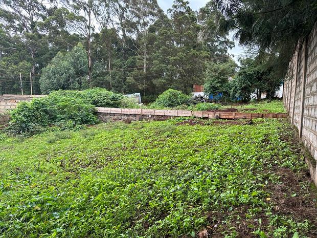 Prime Commercial Plot in Kikuyu Town (Fronting the Tarmac). - thumbnail 14