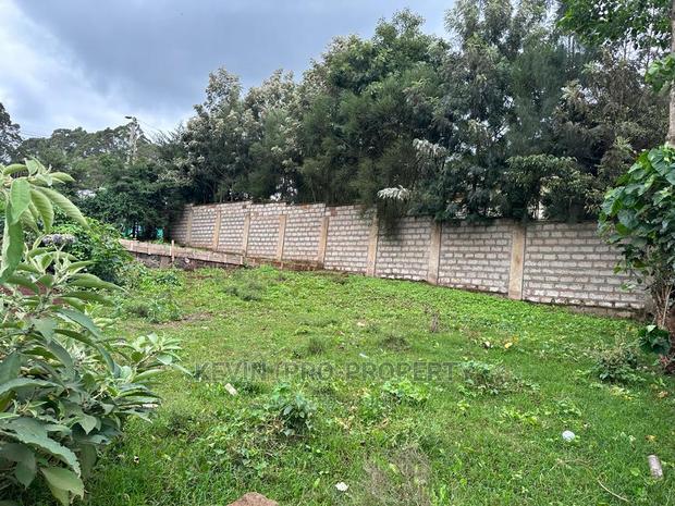 Prime Commercial Plot in Kikuyu Town (Fronting the Tarmac). - thumbnail 13