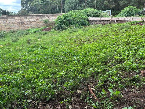 Prime Commercial Plot in Kikuyu Town (Fronting the Tarmac). - thumbnail 5