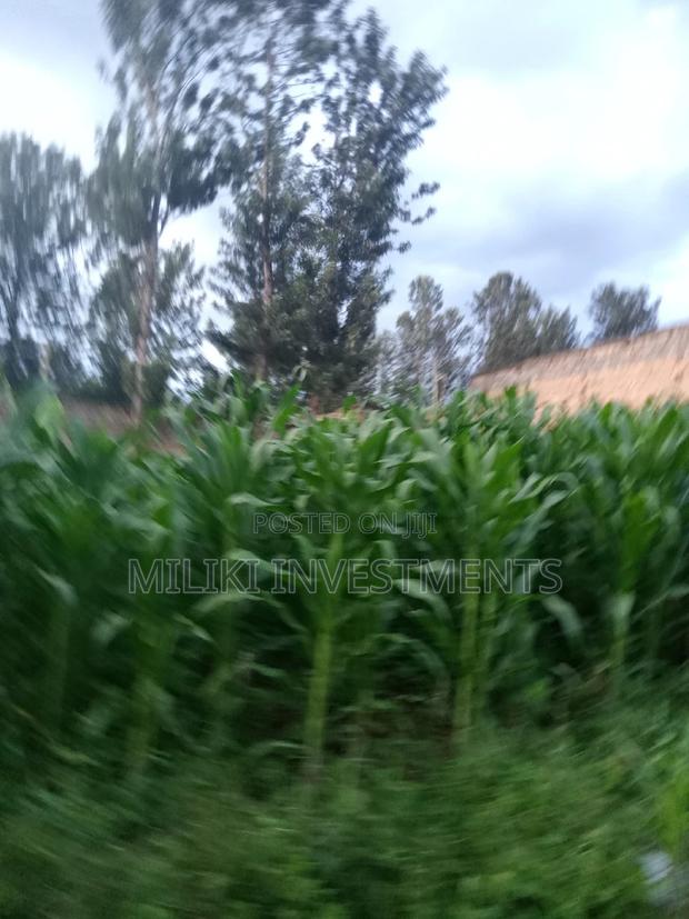 50 by 100 Plot at Kamahuha - thumbnail 4