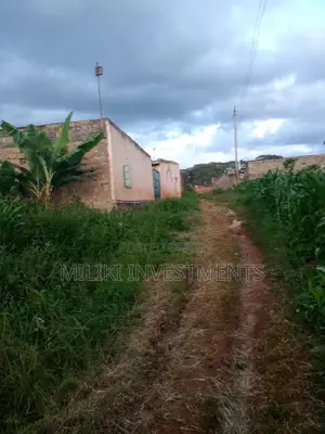 50 by 100 Plot at Kamahuha