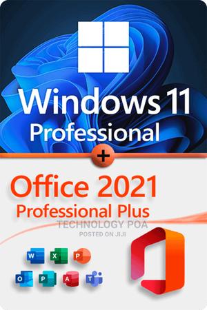 Windows 11 Professional + Office 2021 Professional PLUS - main view