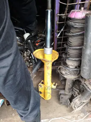 Sf5 Rear Blisten Shocks