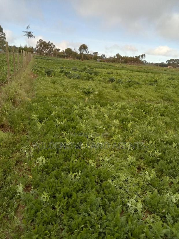 50*100 Plots on Sale at Magumu Kinangop