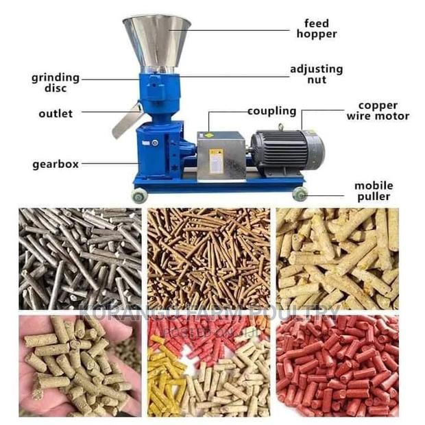 Molding Feed Pellet Machine - main view