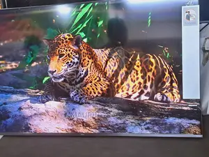 Samsung 55 Q60cau Frameless