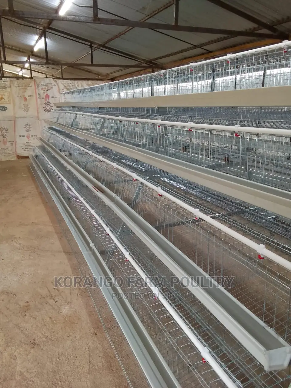 Battery Cages 128 Birds