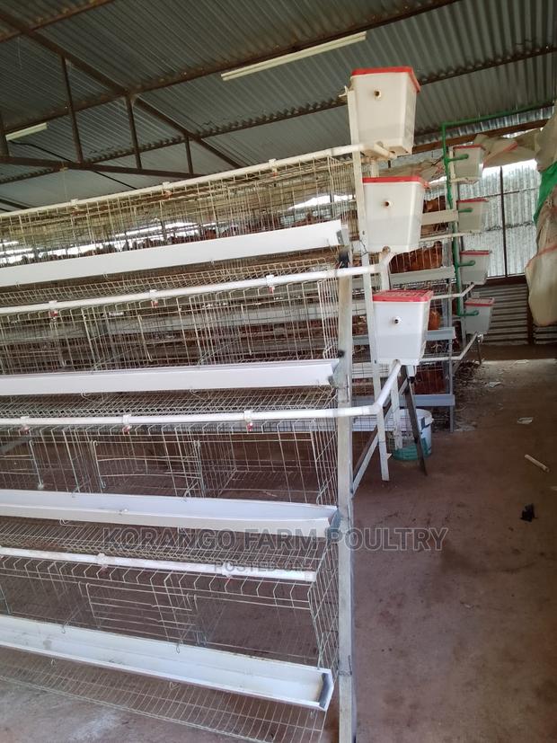 Battery Cages 128 Birds - thumbnail 3