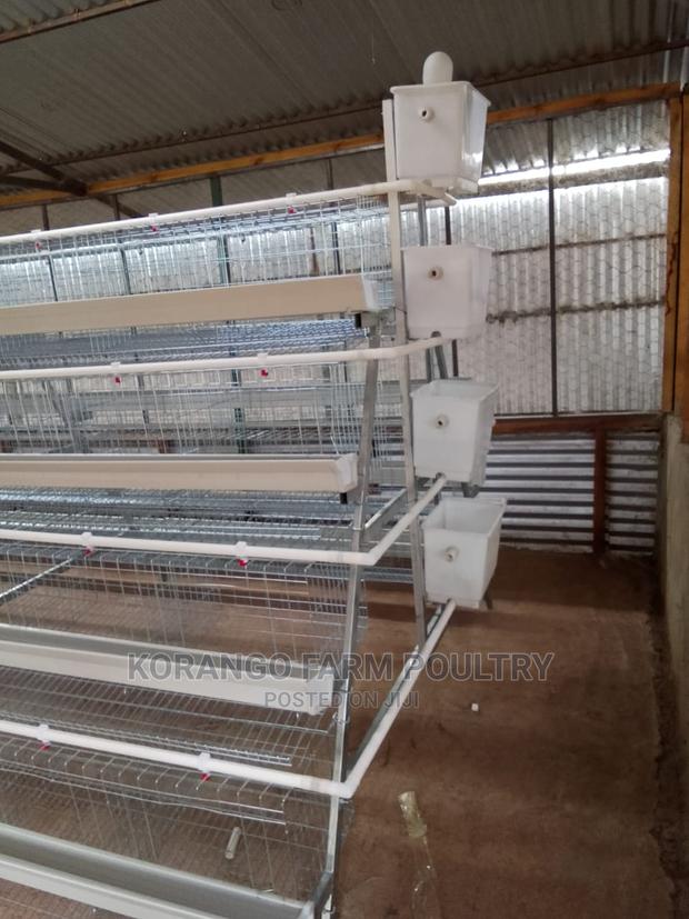 Battery Cages 128 Birds - thumbnail 4