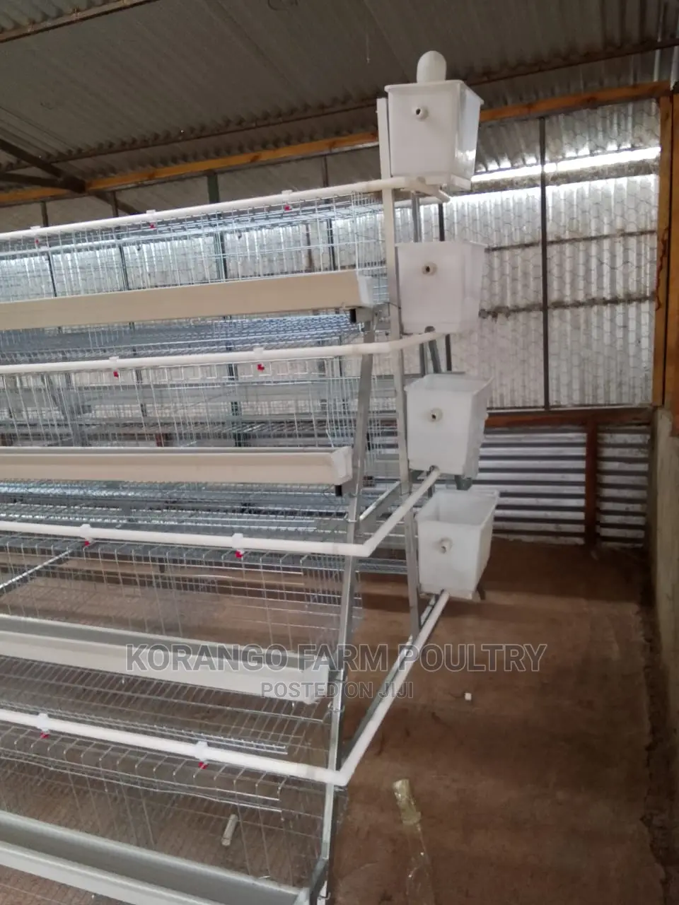 Battery Cages 128 Birds