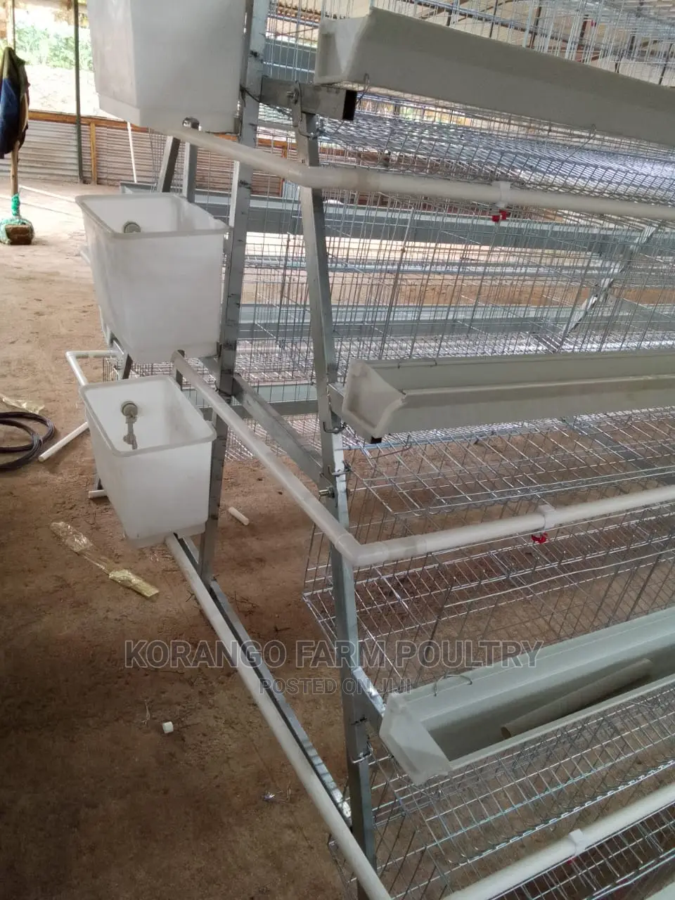 Battery Cages 128 Birds