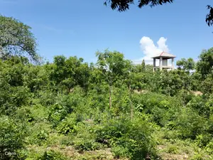 Diani Half Acre Prime Plot