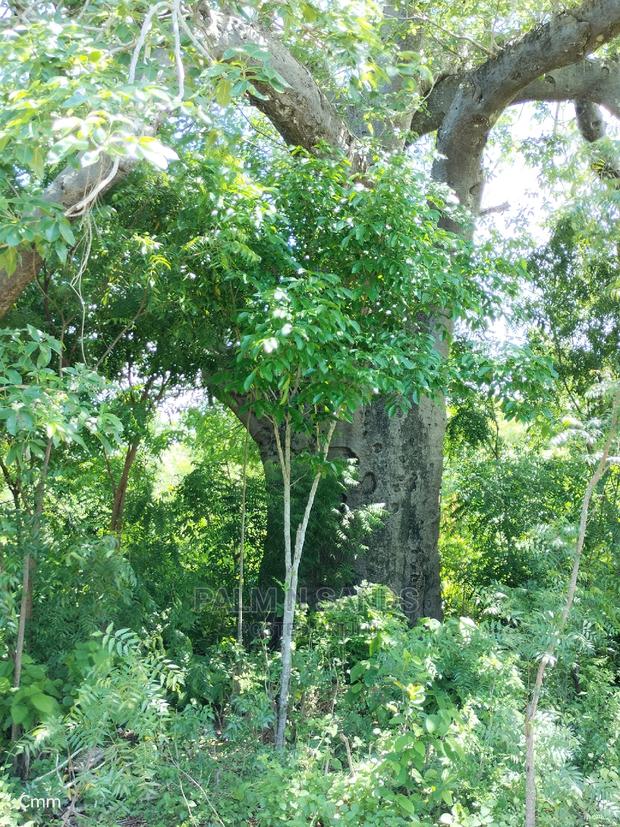 Diani Half Acre Prime Plot - thumbnail 7