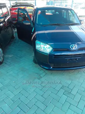 Toyota Probox 1.3 DX 2WD 2015 Black