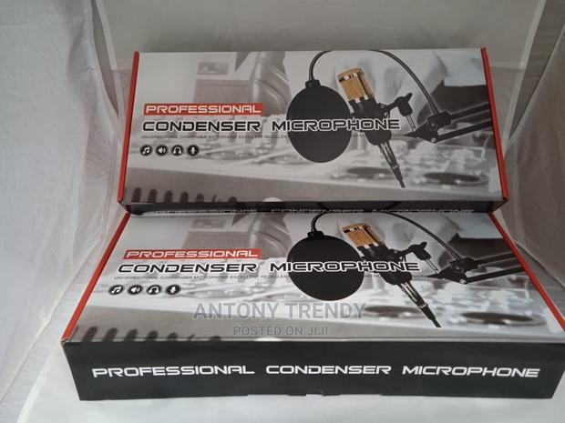 Bm800 Condenser Microphone Professional Voice Recordingmic - main view