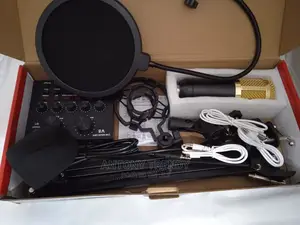 Bm800 Condenser Microphone Professional Voice Recordingmic
