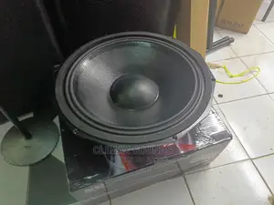 PD 1880 Bass Speaker