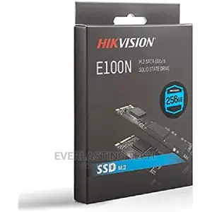 Hikvision E1000 Internal SSD M.2 - 256gb