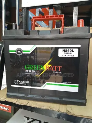 NS60L Greenbatt Battery