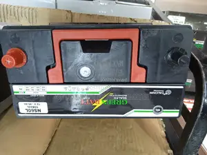 NS60L Greenbatt Battery