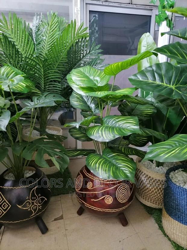 Plants and Calabashes - main view