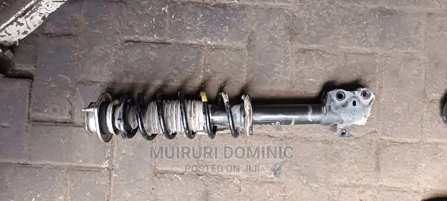 Complete Shock Absorber Passo