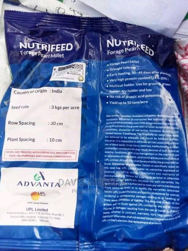 Nutrifeed Forage Pearl Millet - 1kg - thumbnail 4