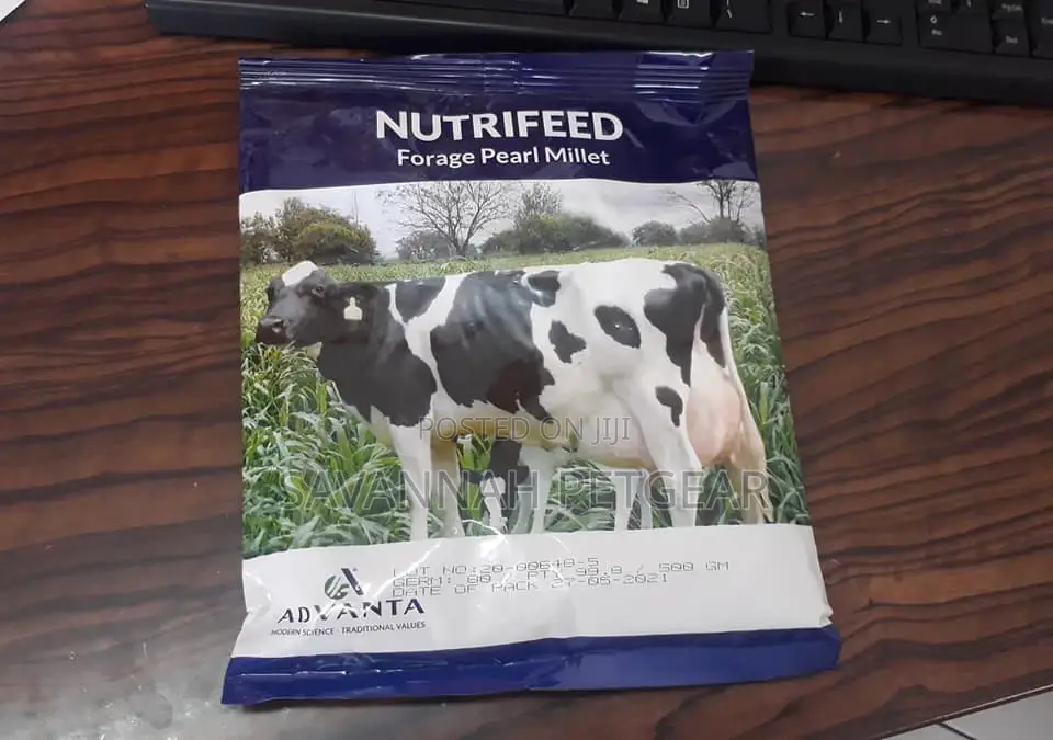 Nutrifeed Forage Pearl Millet - 1kg