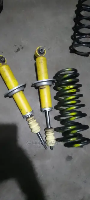 Subaru Br9 Legacy Rear Shocks and Springs