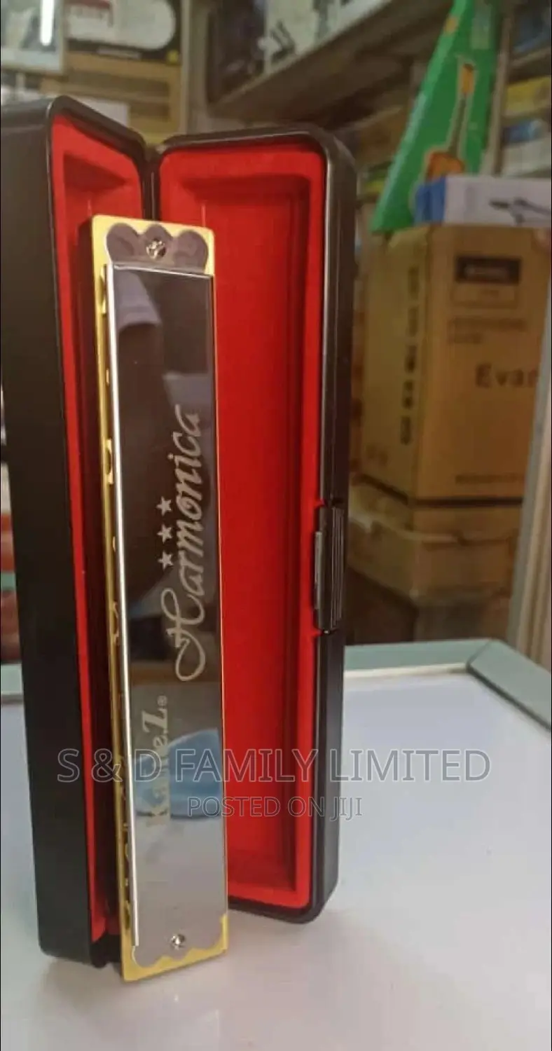 Silver Harmonica With Case