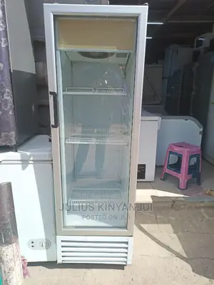 Chiller 300 Litres