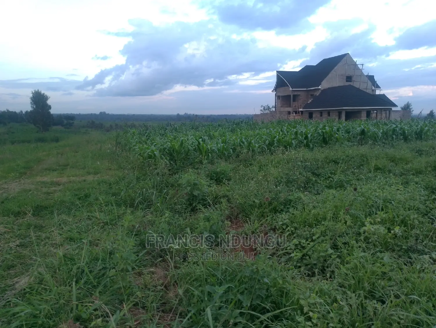 Residential Plots for Sale in Matrofi Estate Tinganga Migaa