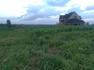 Residential Plots for Sale in Matrofi Estate Tinganga Migaa