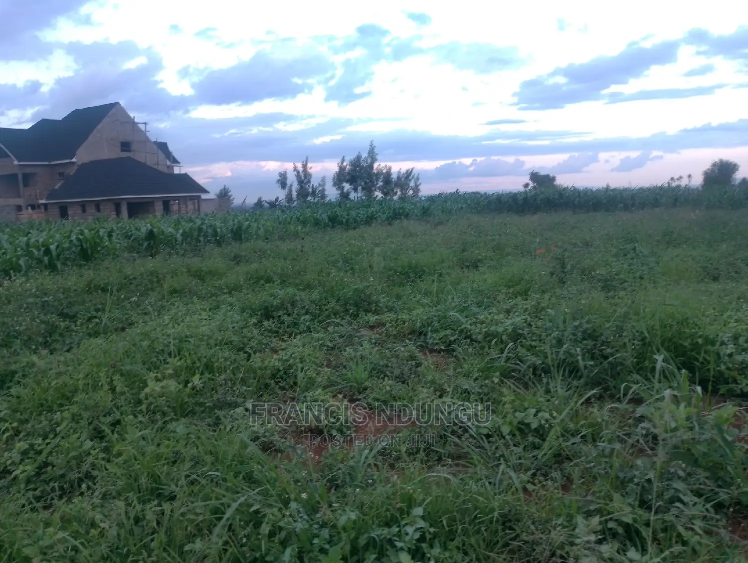 Residential Plots for Sale in Matrofi Estate Tinganga Migaa