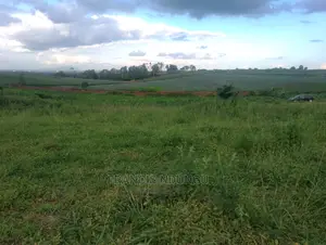 Matrofi Estate Plots for Sale Along Kirigiti Lioki Rd.