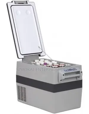 SSS 42l Car AC/DC Car Fridge