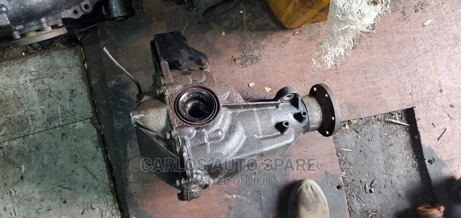 Back Differential Pajero Shogan