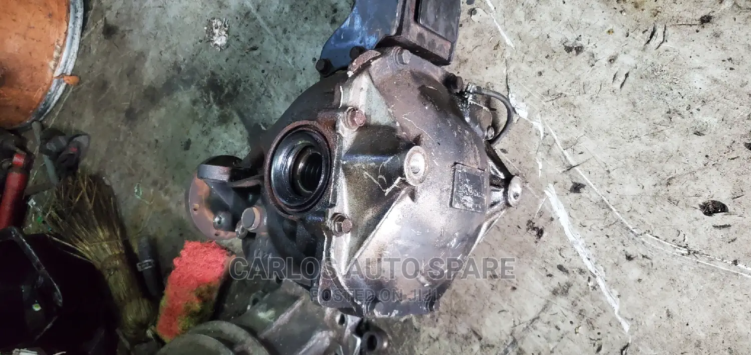 Back Differential Pajero Shogan