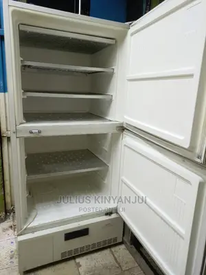 Upright Freezer 550l