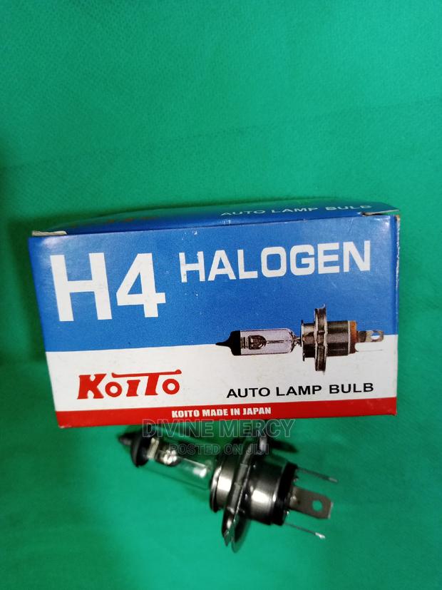 H4 Halogen Bulbs - main view