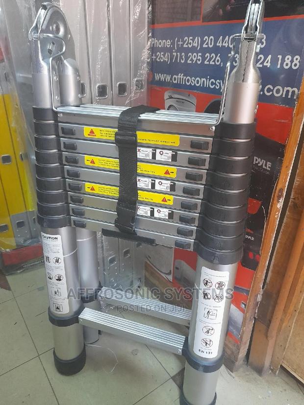 3.1by3.1 Double Telescopic Ladder - main view