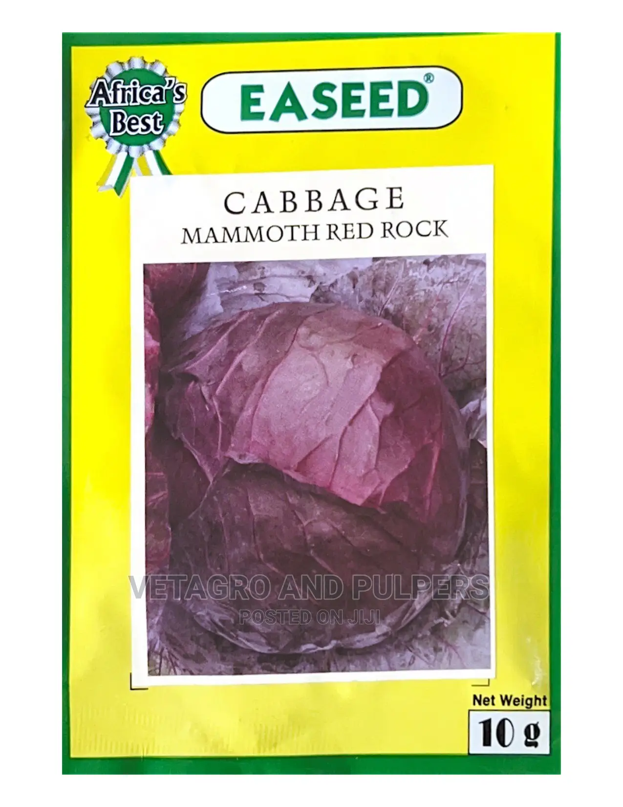 Mammoth Red Rock Cabbage Seeds