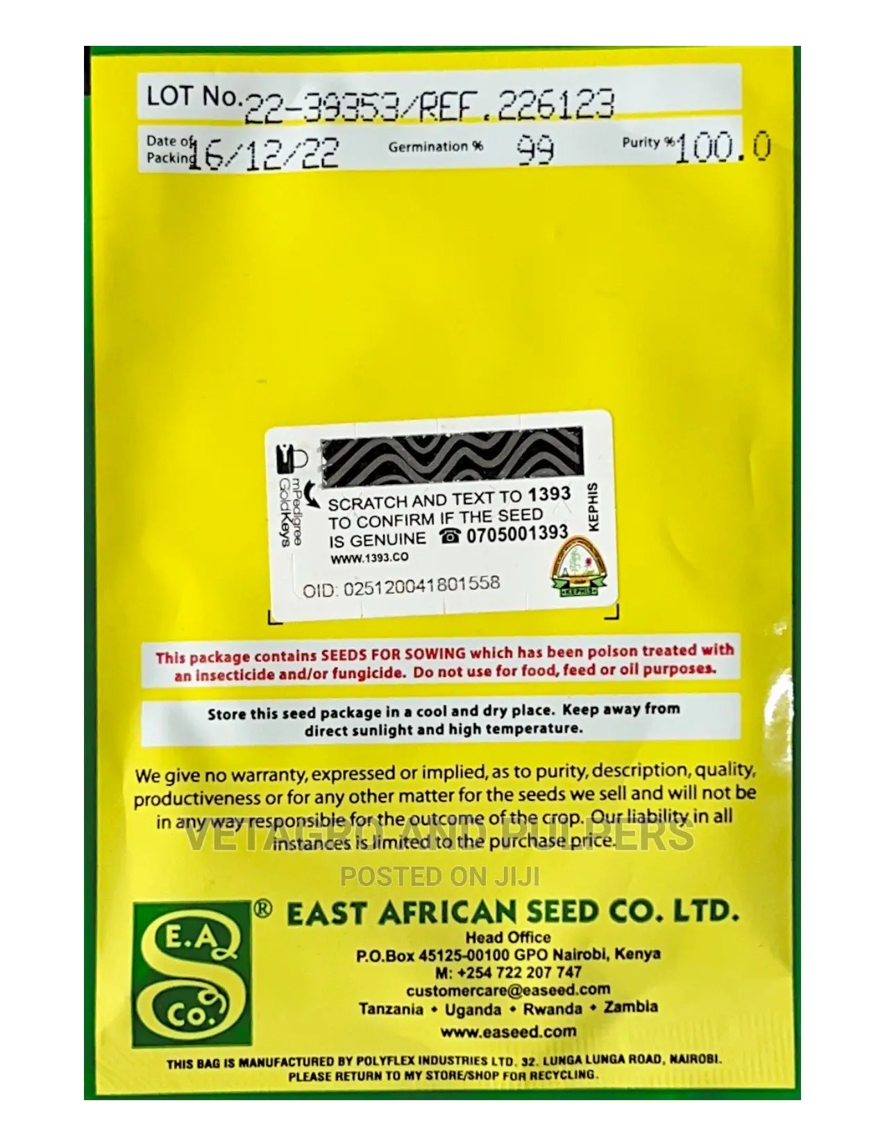 Mammoth Red Rock Cabbage Seeds