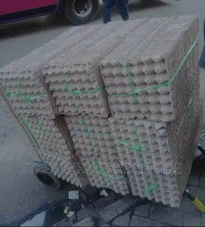 Paper Egg Trays