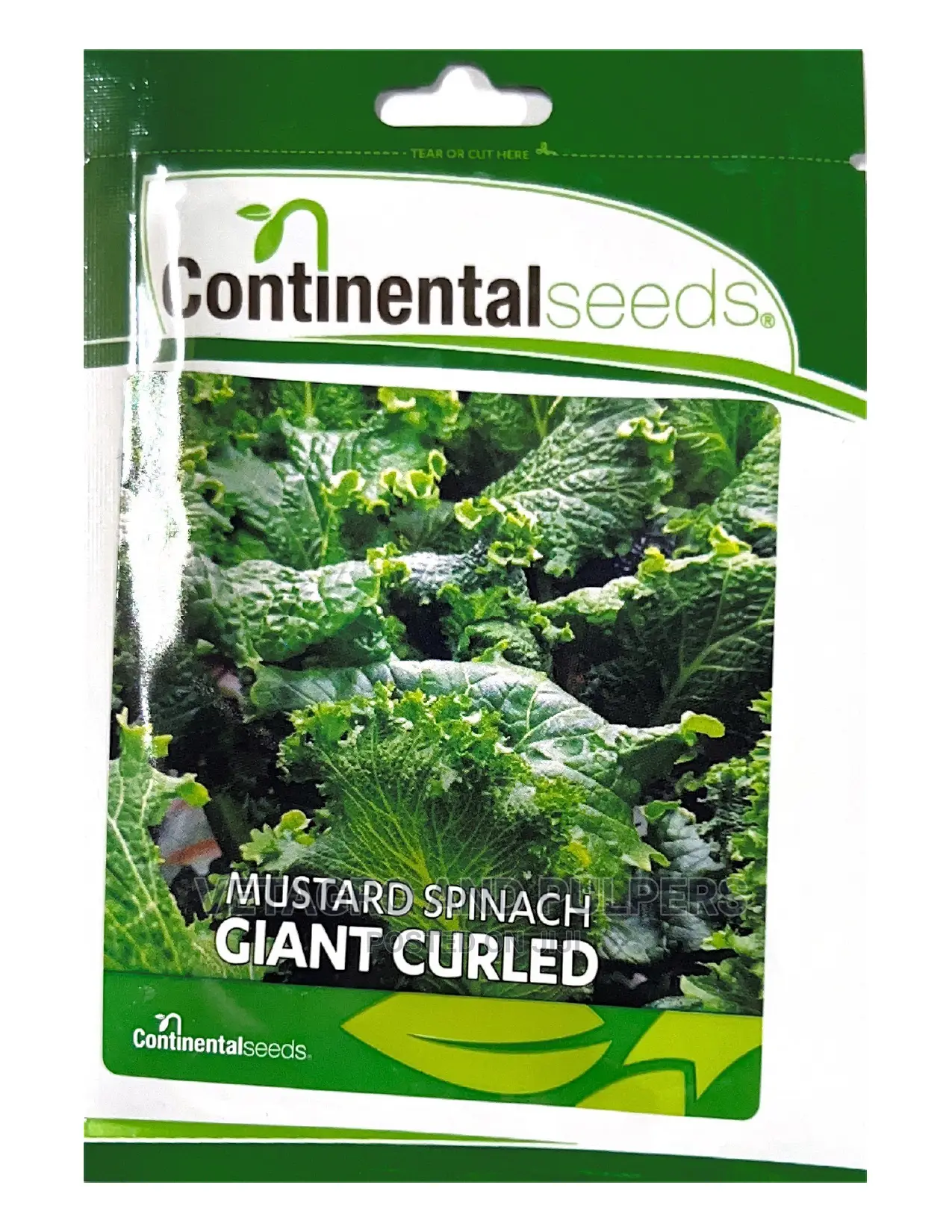 Continental Mustard Spinach Giant Curled Seeds in Nairobi Central