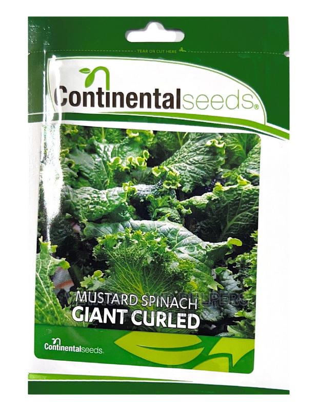Continental Mustard Spinach Giant Curled Seeds