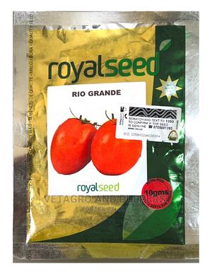 Royal Rio Grande Tomato Seed - main view