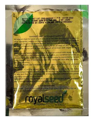 Royal Rio Grande Tomato Seed