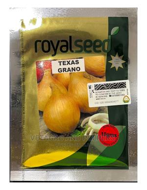 Royal Texas Grano (White Onion) Seeds - main view