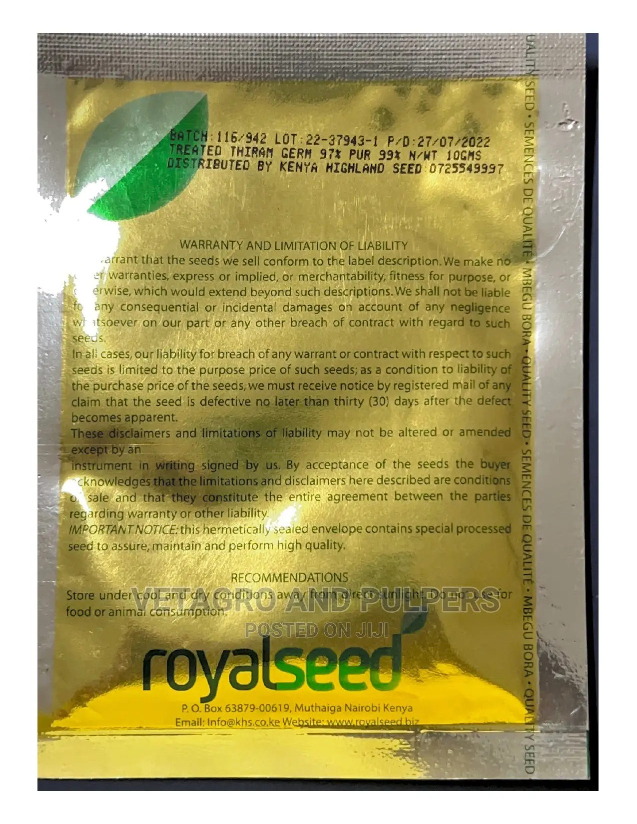 Royal Texas Grano (White Onion) Seeds